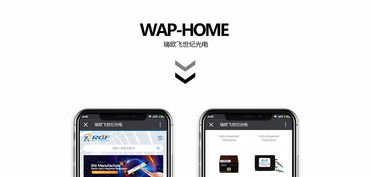 瑞欧飞世纪光电与南宁迎网 携手打造高品质网站建设与图文设计服务